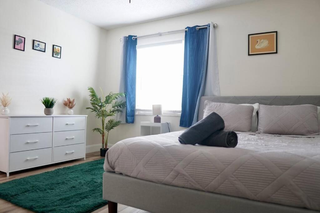 Jay'S Cozy Arts Daire Tampa Dış mekan fotoğraf